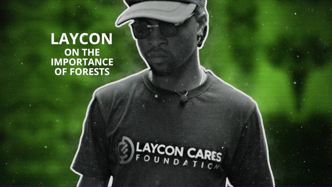 #InternationalForestDay