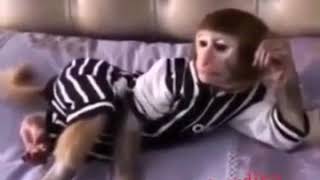 17 Ноября 2017 Г.