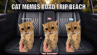 Cat Memes Road Trip Beach