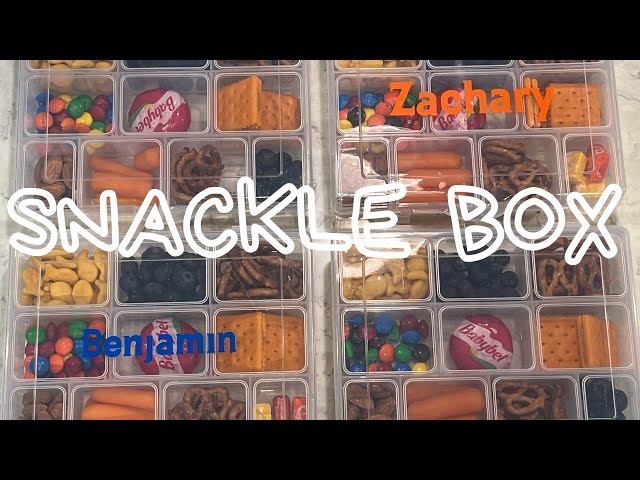 tackle box snacks for airplane toddler｜TikTok Search