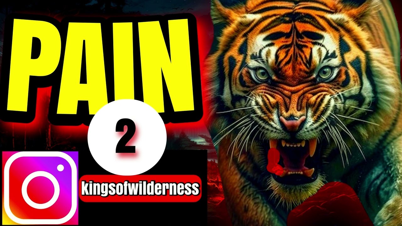 (Late Night Stories) दहशत की शुरुआत यहाँ से हुई #jimcorbett #champawat #hindikahanian #oldstories