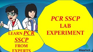 What is PCR SSCP  Polymerase chain reaction single-strand conformation polymorphism Principle