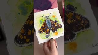 Watercolour moth painting 🦋✨ #artist #arttutorial #watercolourpaint