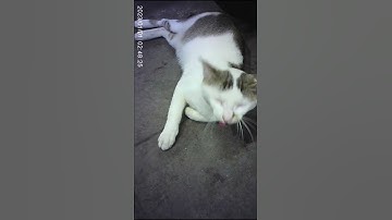 Không phải cứ thấy nhỏ mà vội chê đâu nha :))) #ghiendaphop #vrstudio #ThanhCongNghe #LearnOnTikTok