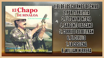 DISCO COMPLETO - El Chapo De Sinaloa "El De Los Cuernos De Chivo" | Norteño