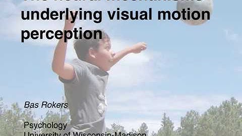 Neural bases of 3D visual motion perception