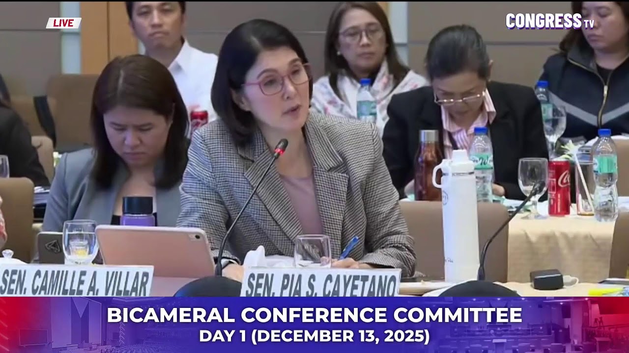 BICAMERAL CONFERENCE COMMITTEE MEETING DAY 1 (DECEMBER 13, 2025)