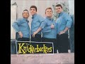 The Knickerbockers - Lies (Alternate Backing Track)