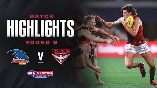 Adelaide v Essendon Highlights | Round 6, 2024 | AFL