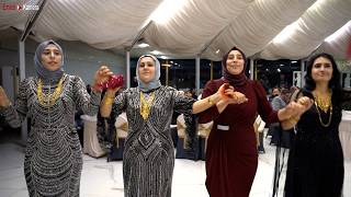 Mardin Düğünü Grani 2026 - Berat Ak - Muhammet Mamiş