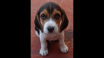 Administrar Sakai en la nube