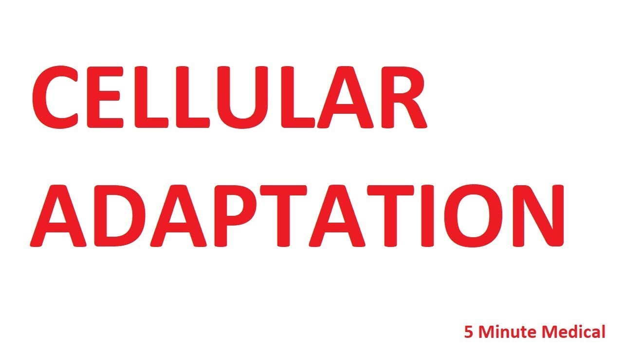 39 BCS Special - Pathology - Cellular Adaptation - YouTube
