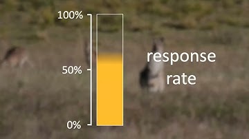 Identify and address student anxiety with a pre-course questionnaire