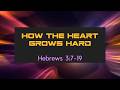 user img