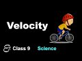 🔴 VELOCITY || Motion - 4 || in HINDI for Class 9 NCERT Science