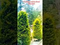 Beautiful park in Kasol himachal#travelblog