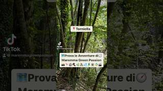 Dog trekking ai Canaloni del Torrente Farma  7 km