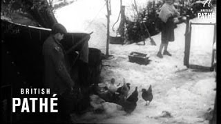 Snow In Italy (1963)