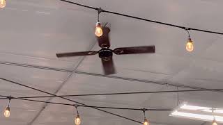 Ceiling fans at a thrift store.