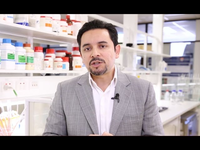 Neuroplasticity: the science behind rewiring the brain