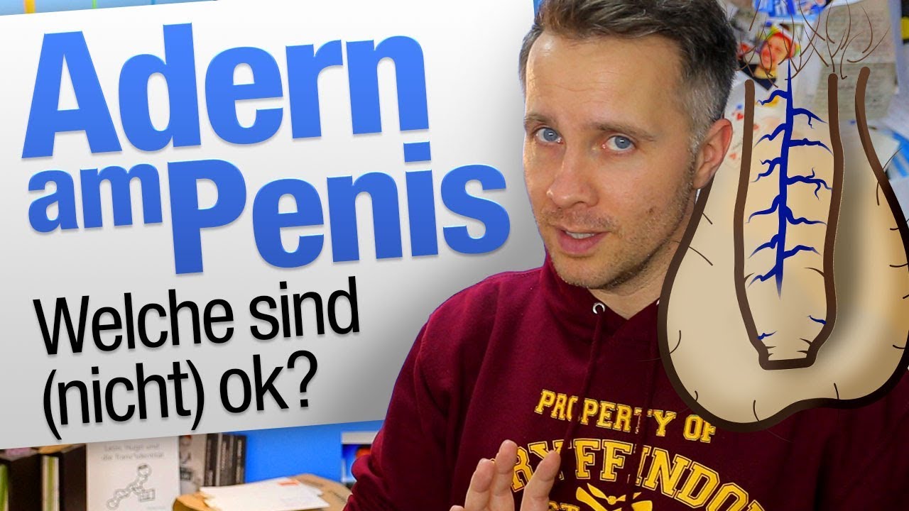 Dicke adern am penis