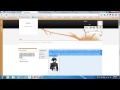 Test reading accommodations using the Chrome Browser or Chromebook