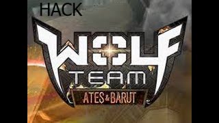 Wolfteam--PlatD3D Loader V2.5 (--HACK--)Güncel2016