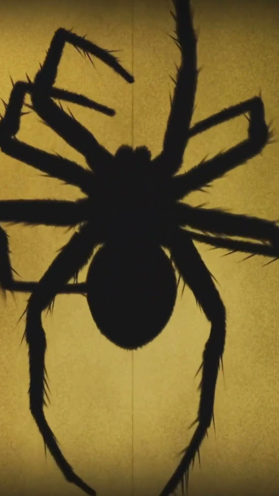 Spider Jumpscare - Watch If You Dare - Horror - #shorts