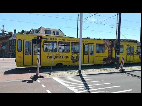 Video: Sfaturi pentru o excursie de o zi la Delft, Olanda de Sud