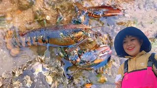 [ENG SUB] Xiao Zhang rushed to the sea  and the crabs covered with flowers flooded! A big nest unde