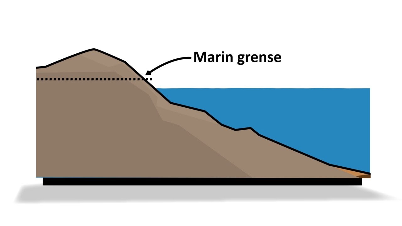 Marin grense