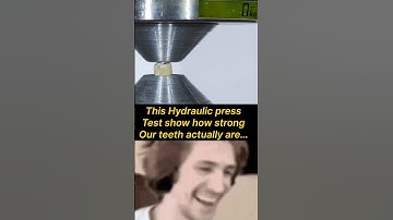 Human Tooth vs Hydraulic Press #shorts #biology #ytshorts