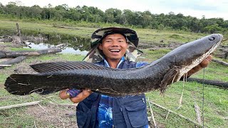 Awesome Technic Catching Snake head fish at Orsoum ,Phoshat. || បបក់ត្រីនៅអូសោម 2020