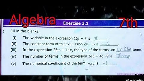 7th standard maths algebra exercise 3.1(full ) chapter3 term1