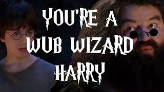 YOU'RE A WUB WIZARD HARRY...