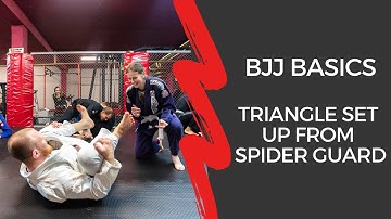 BJJ Basics - Triangle set up from spider guard