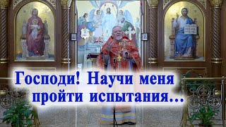 Господи! Научи меня пройти испытания... Проповедь священника Георгия Полякова.