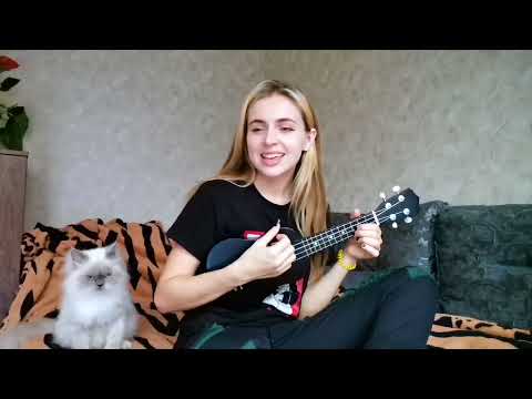 Music and Funny Animals | Best Pet Videos | Cute Funny Paws