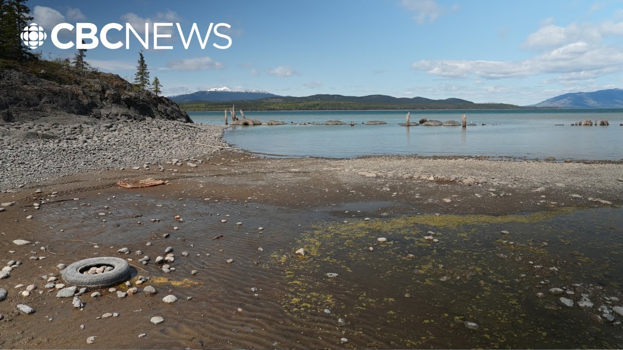 Yukon water levels are unusually low: here's how resident's are dealing with it