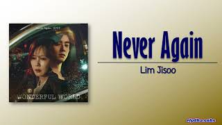 Lim Ji Soo (임지수) - Never Again [Wonderful World OST Part 2] [Rom|Eng Lyric]