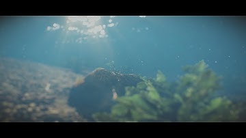 Crysis Extreme Config / Shader Mod Windows 10 [1.3] 2015 + Download Link