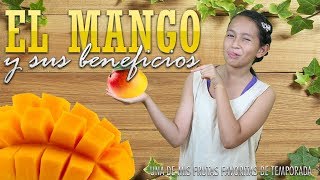 🔴 El mango y sus beneficios [Videos para niños] [Educativos] [Consejos Saludables] - Shirel