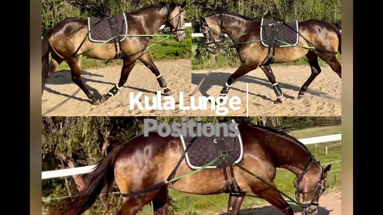 Kula Lunge Positions