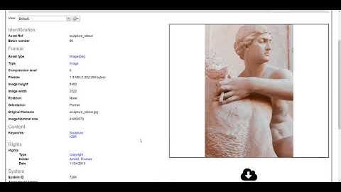 Images in CollectionsIndex+ Collections Management system (Legacy Video)