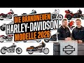Neue Harley Davidson Modelle 2026 Kurz Erklärt Thunderbike