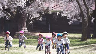 2歳から乗れるストライダー生誕周年限定記念モデルシャンパン