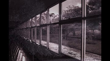 Infrared Photography - Nikon D80 converted with 720nm filter