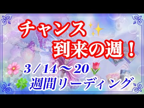 とにかく凄い チャンス到来の週 サポート なぜか当たる タロット占い 3 14 週間リーディング 癒しのタロット Youtube