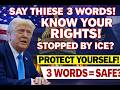 ⚠️ Stopped by ICE  3 Words That Could Protect You from Arrest Know Your Rights