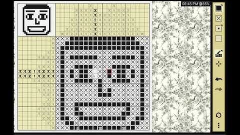 20x20 Nonogram Solve: Unlocking the 